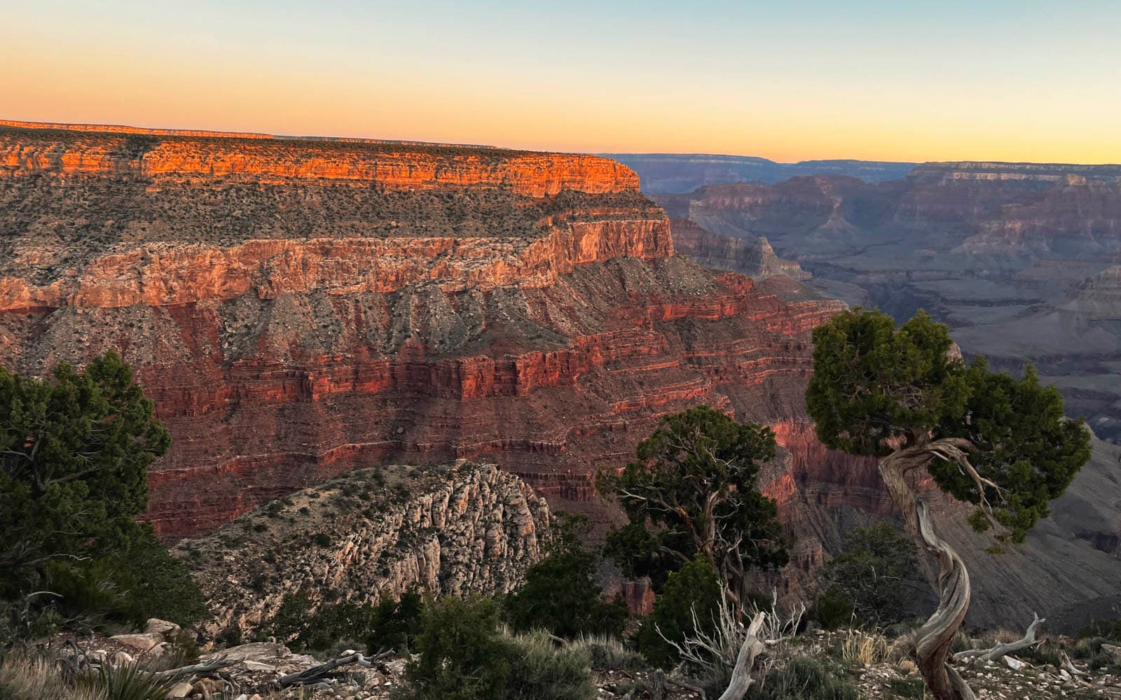 2本セット】グランドキャニオン grand canyon 振り返れ お香立て