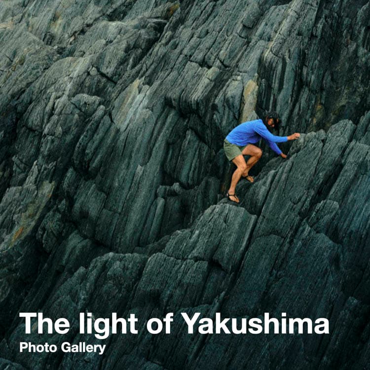 The light of Yakushima