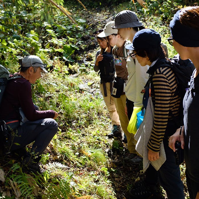 【募集開始】<br>HLC北海道 ニセコ連峰の大自然と<br>悲願の北海道の米作り<br>10月7日開催