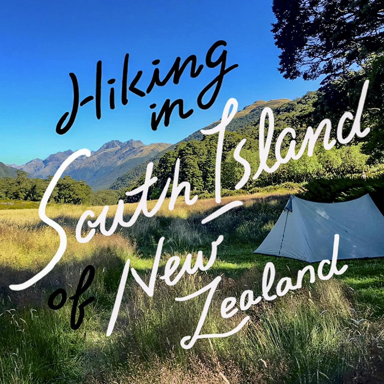 ニュージーランド南島 一週間のソロハイキング