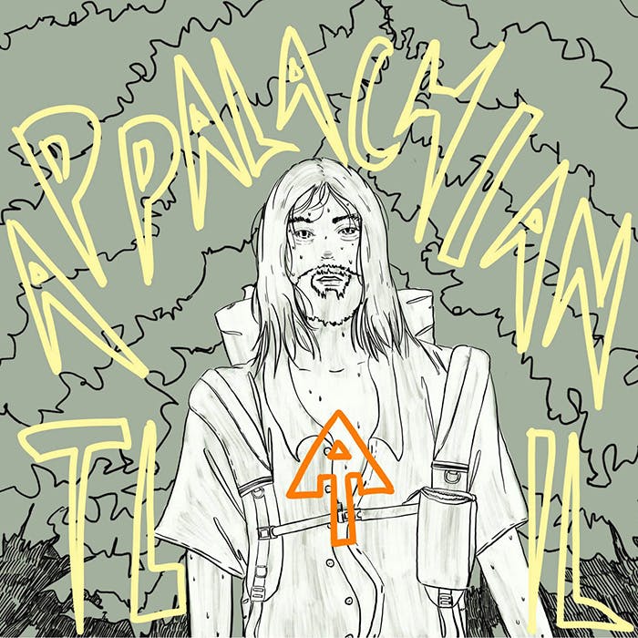 ［ハイキングの紀行］暑くて臭くて底抜けに笑う アパラチアン・トレイル #1