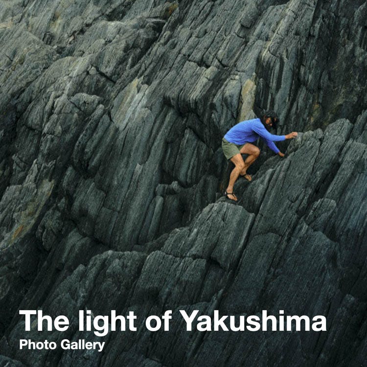 Photo Gallery<br>The light of Yakushima
